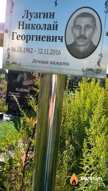 Лузгин Николай Георгиевич