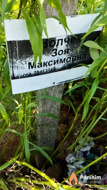 Волчек Зоя Максимовна