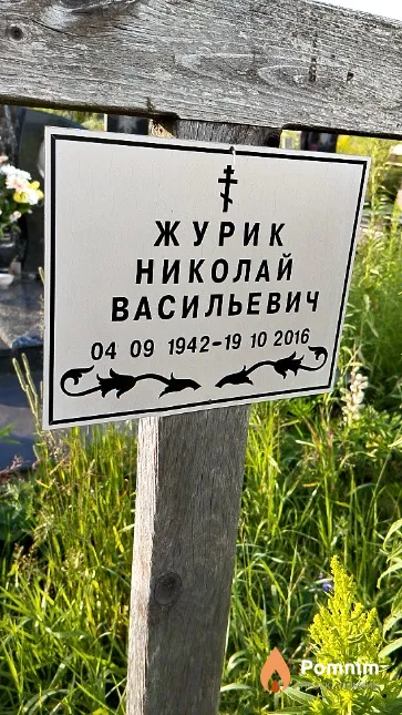 Журик Николай Васильевич