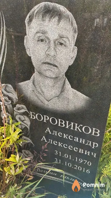 Боровиков Александр Алексеевич