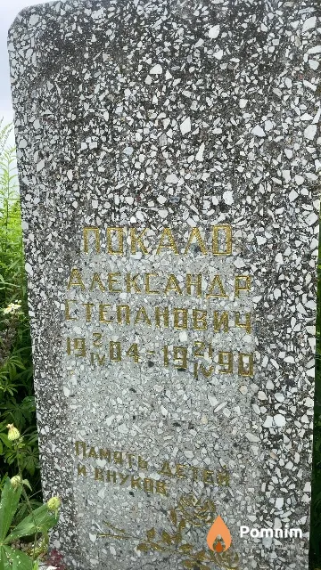 Покало Александр Степанович