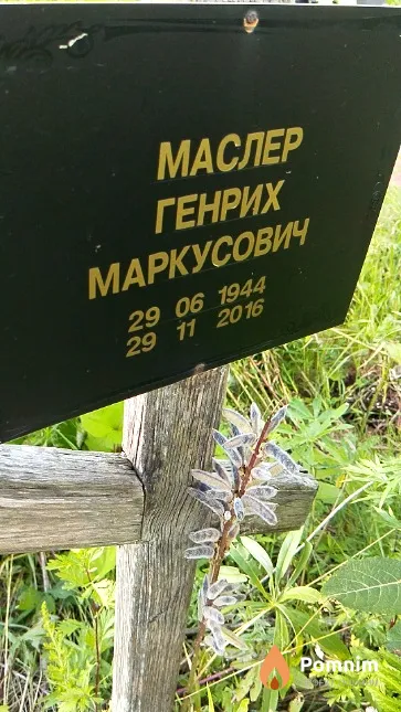 Маслер Генрих Маркусович