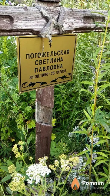Погожельская Светлана Павловна