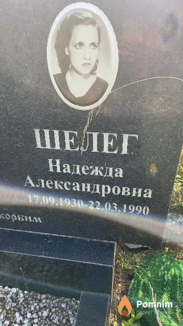 Шелег Надежда Александровна