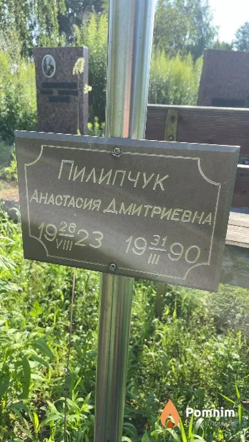 Пилипчук Анастасия Дмитриевна