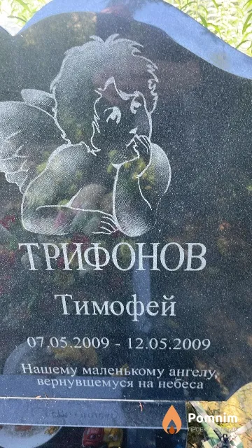 Трифонов Тимофей