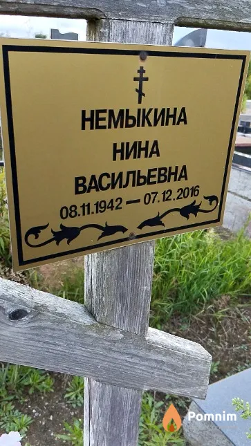Немыкина Нина Васильевна