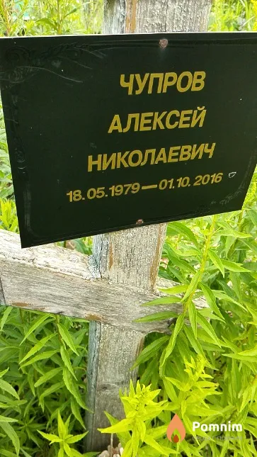 Чупров Алексей Николаевич
