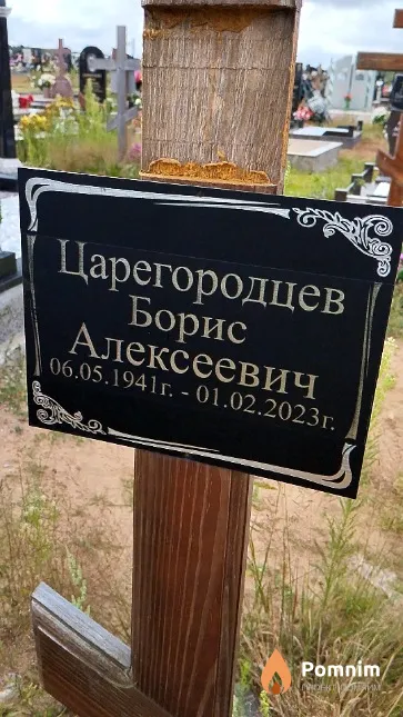 Царегородцев Борис Алексеевич