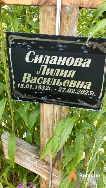 Силанова Лилия Васильевна