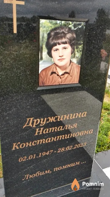 Дружинина Наталья Константиновна