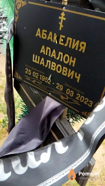 Абакелия Апалон Шалвович