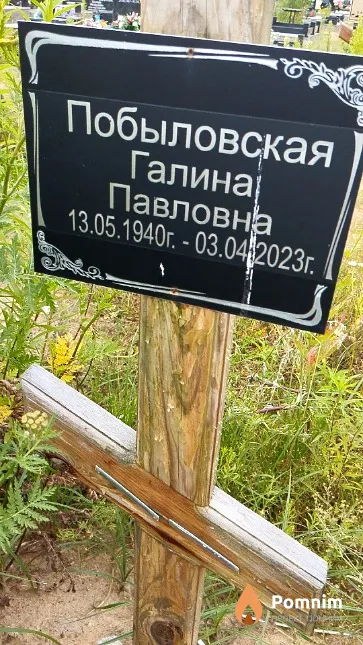 Побыловская Галина Павловна