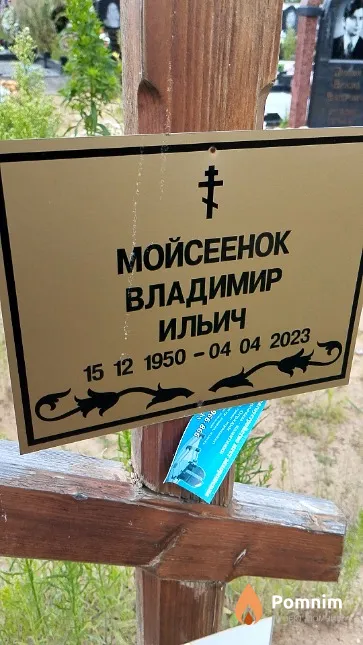 Мойсеенок Владимир Ильич