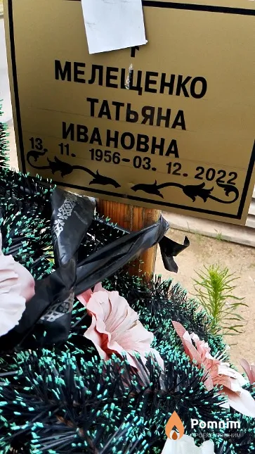 Мелещенко Татьяна Ивановна