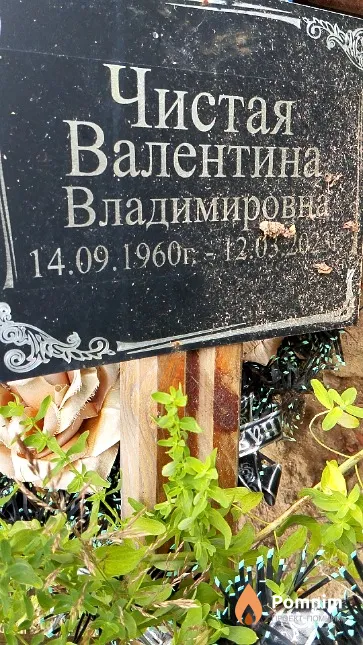 Чистая Валентина Владимировна