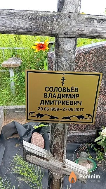Соловьёв Владимир Дмитриевич