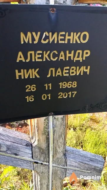 Мусиенко Александр Николаевич