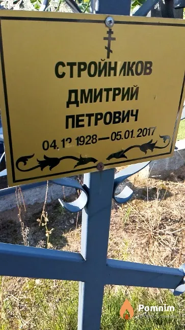 Стройников Дмитрий Петрович