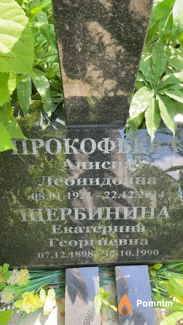 Прокофьева Анисия Леонидовна