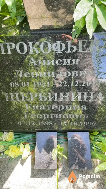 Шербинина Екатерина Георгиевна