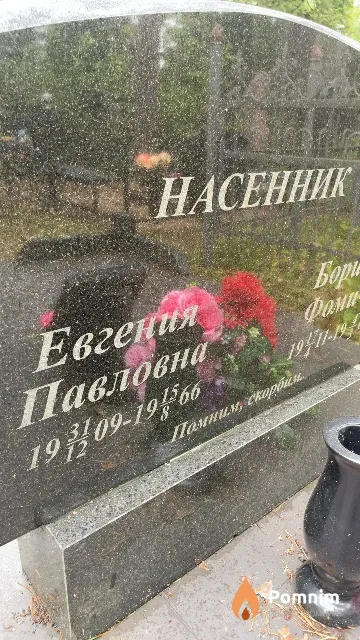 Насенник Евгения Павловна
