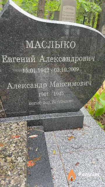 Маслыко Александр Максимович