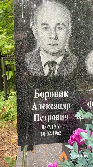 Боровик Александр Петрович