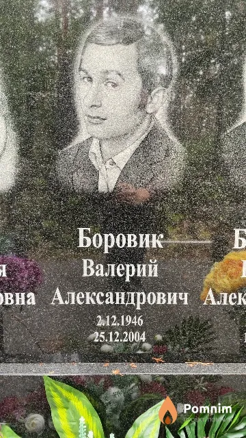Боровик Валерий Александрович