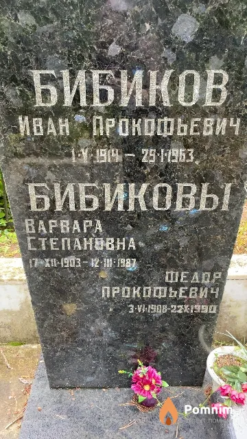 Бибиков Федор Прокофьевич