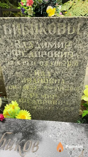 Бибиков Ремир Федорович