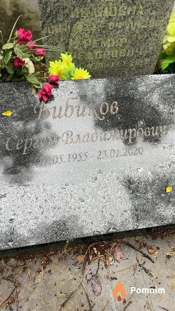 Бибиков Сергей Владимирович