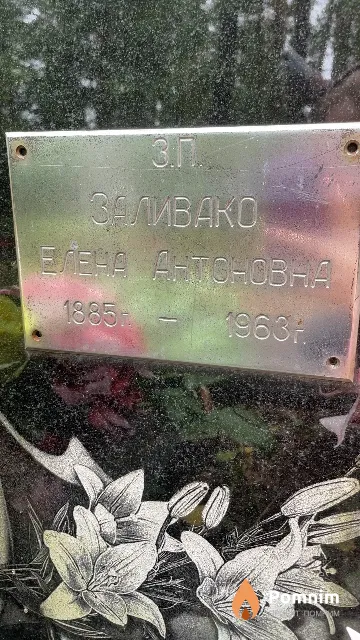 Заливако Елена Антоновна