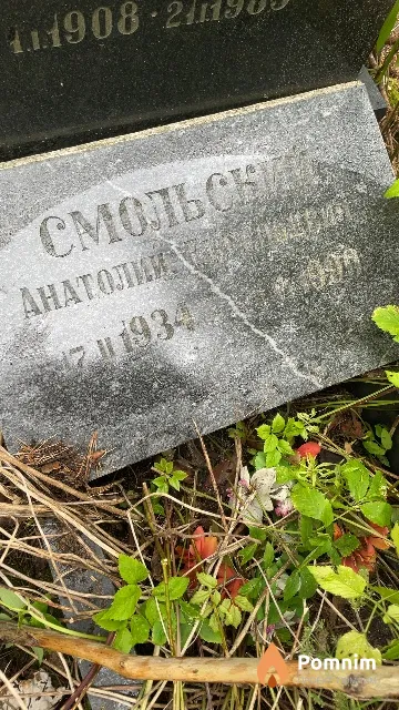 Смольский Анатолий Евгеньевич