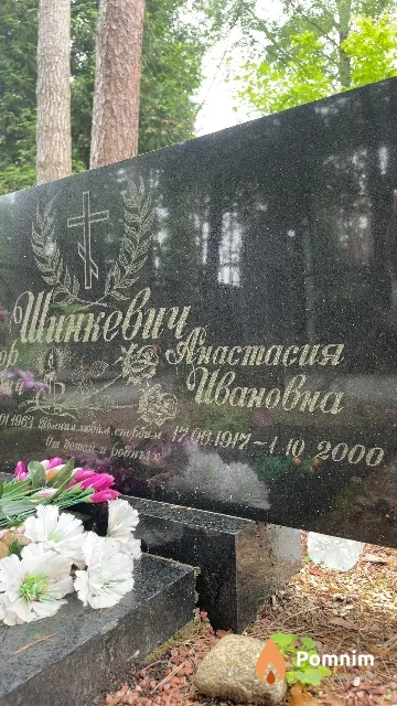 Шинкевич Анастасия Ивановна