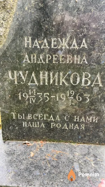 Чудникова Надежда Андреевна