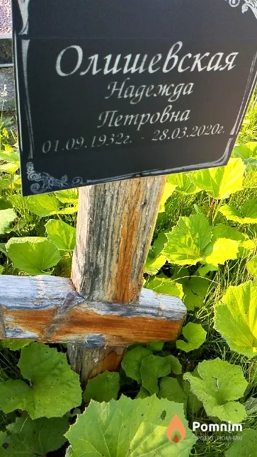 Олишевская Надежда Петровна