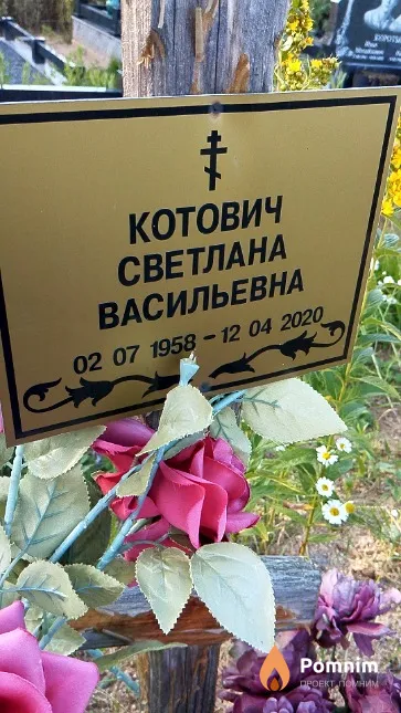 Котович Светлана Васильевна