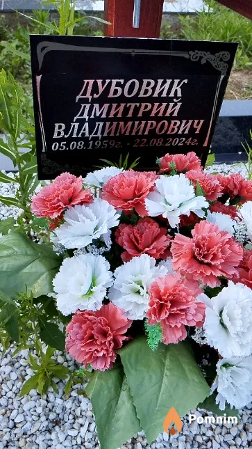Дубовик Дмитрий Владимирович