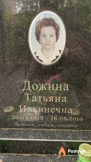 Дожина Татьяна Ильинечна