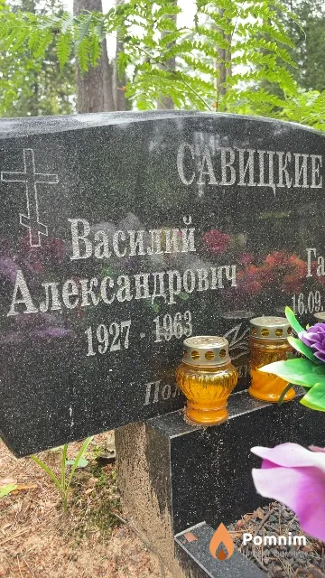 Савицкий Василий Александрович
