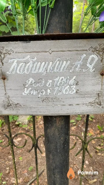 Бабицкий А. Я.