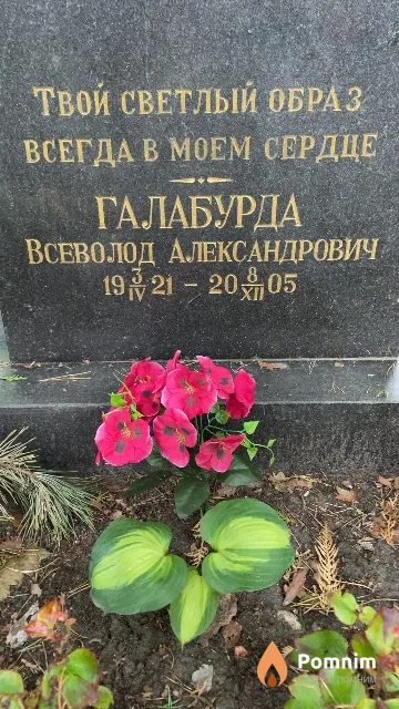 Галабурда Всеволод Александрович