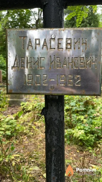 Тарасевич Денис Иванович