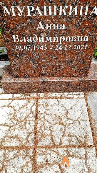 Мурашкина Анна Владимировна