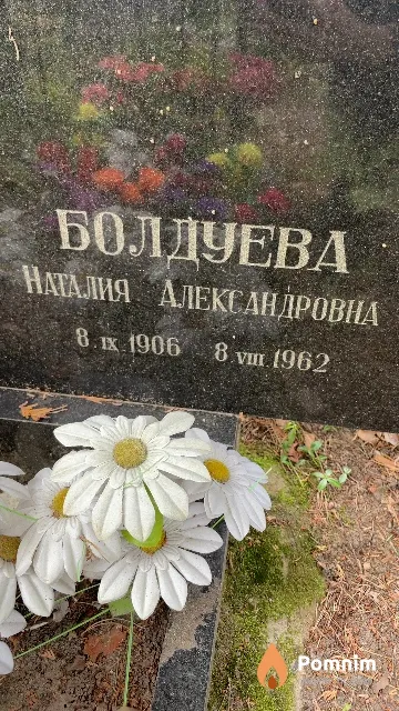 Болдуева Наталия Александровна