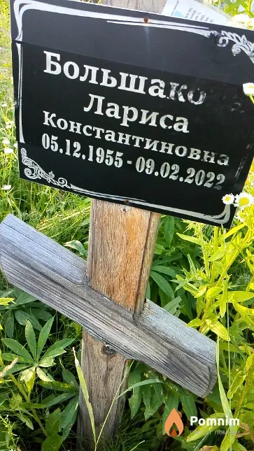 Большакова Лариса Константиновна