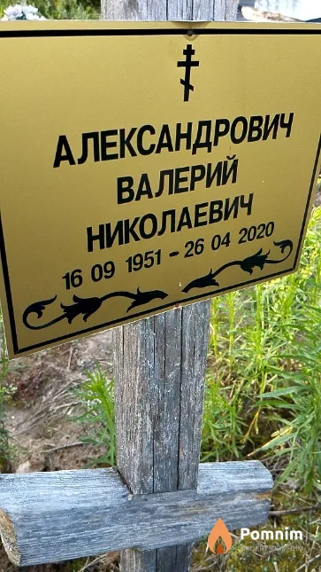Александрович Валерий Николаевич