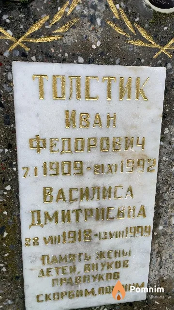 Толстик Василиса Дмитриевна