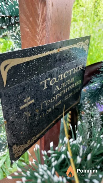 Толстик Алла Георгиевна